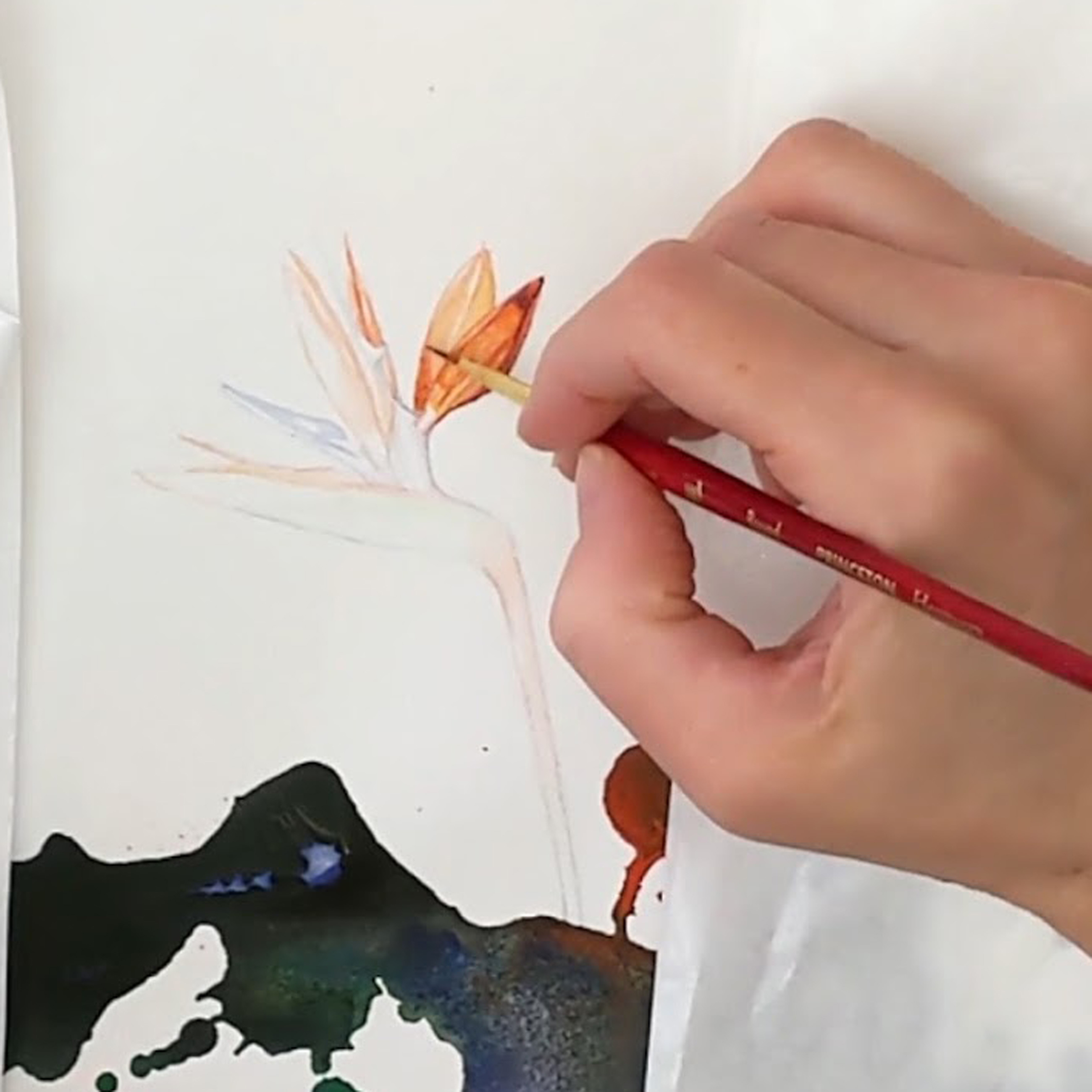 close up of Anna Kaye's hand painting a watercolor bird of paradise