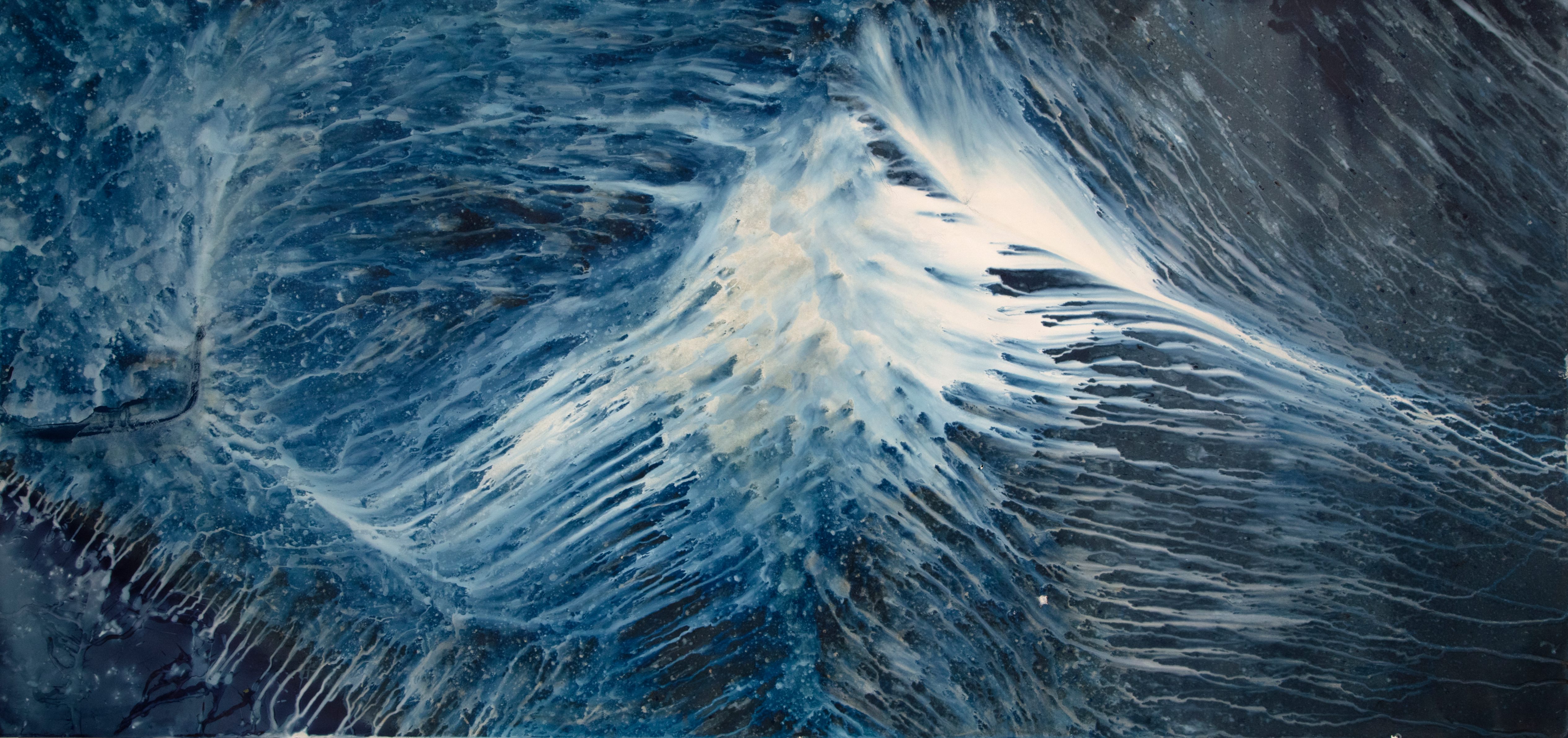 A  beautiful canotype by Meghann Ripenhoff titled "Ecotone #904"