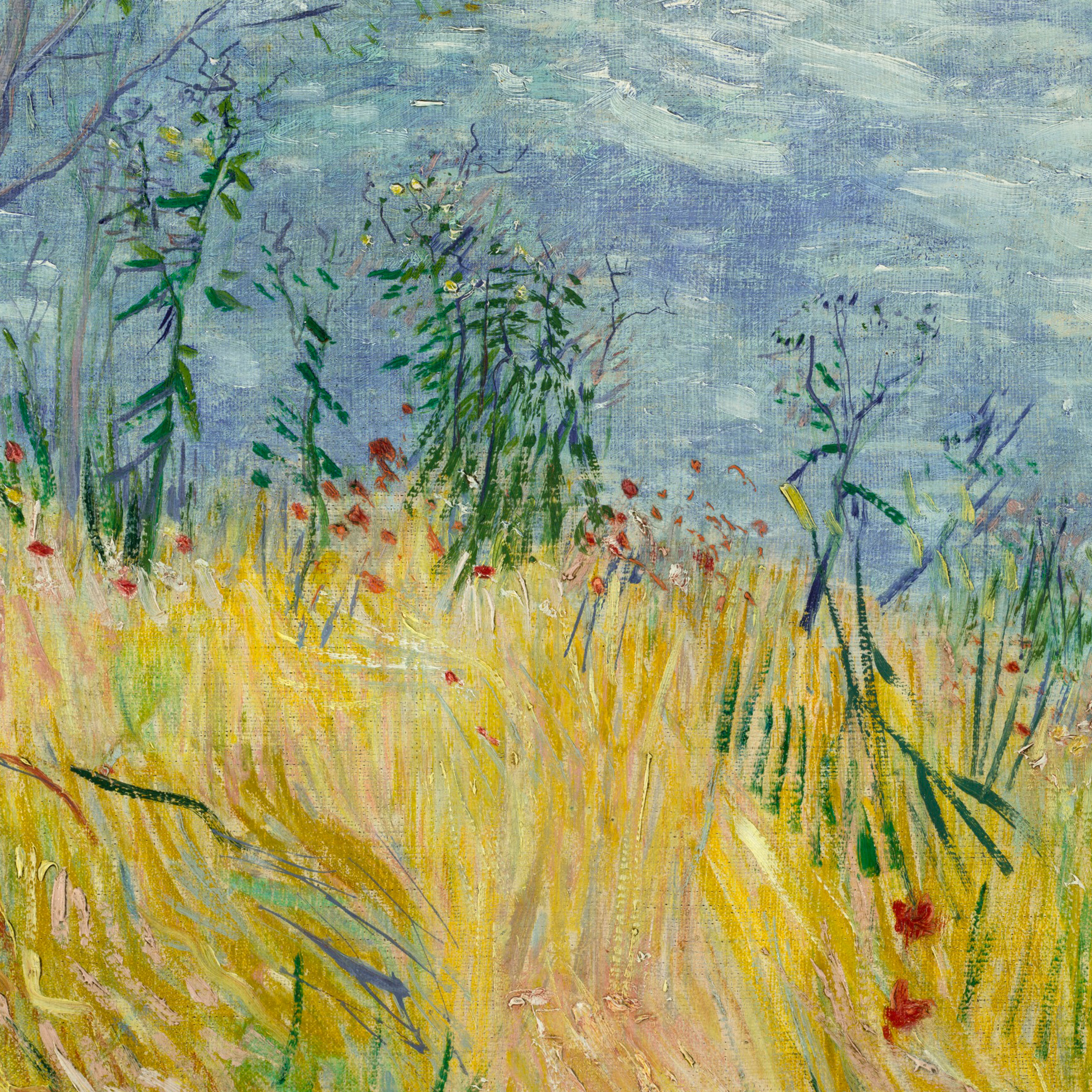 Vincent van Gogh The Paris Wheat Field Denver Art Museum