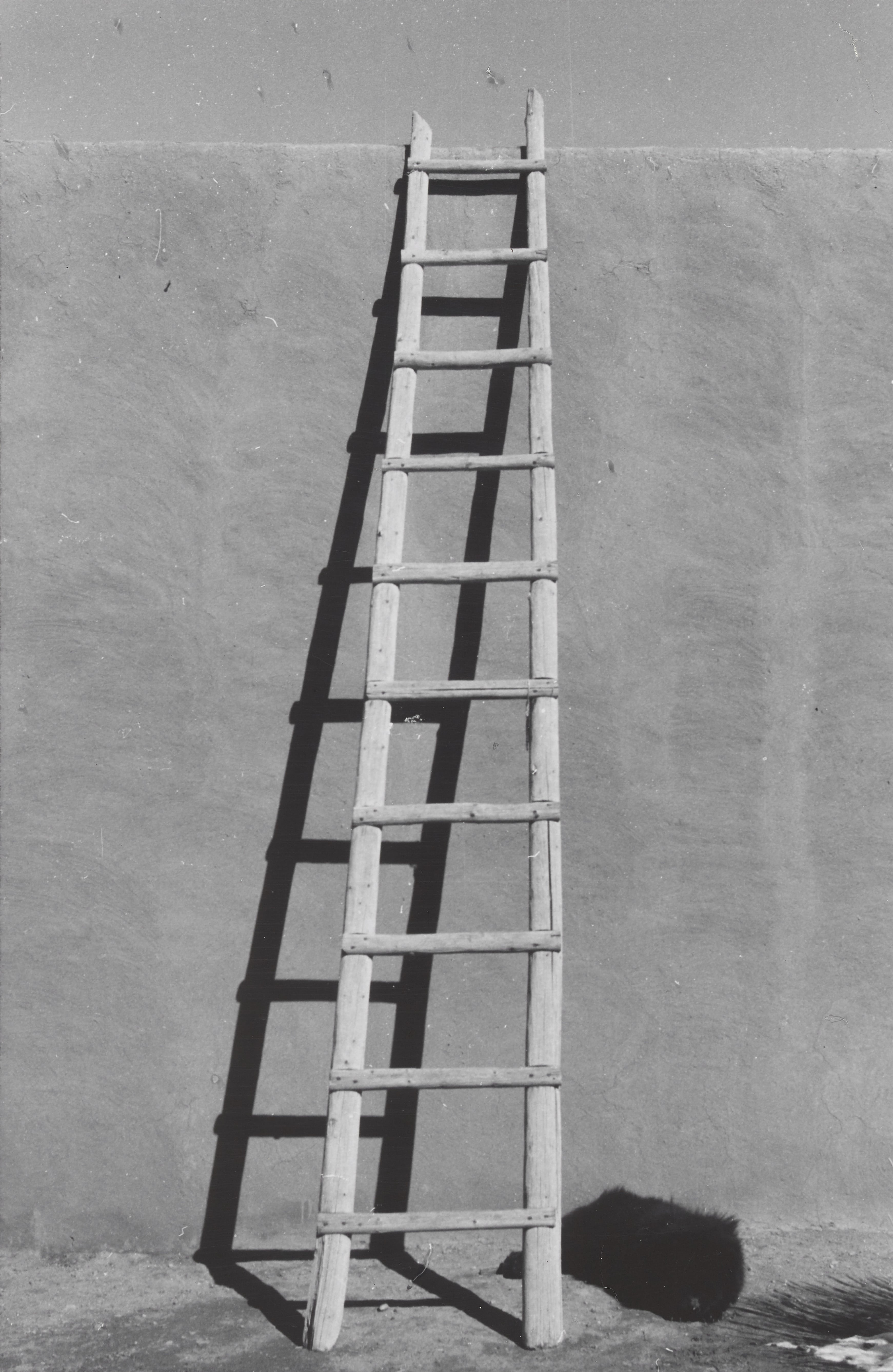 A photograph by Georgia O'Keeffe titled, "Ladder Against Studio Wall with Black Chow (Bo-Bo)"