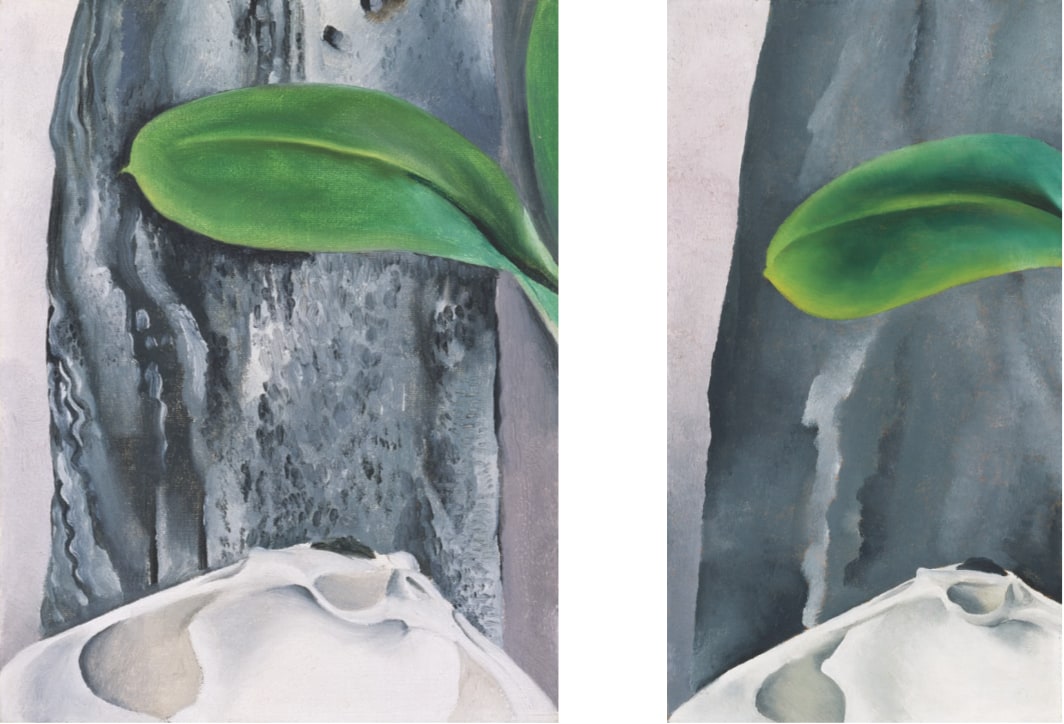 A set of two vibrant still life paintings of a bleached white seashell partially obscured at the bottom, a tropical green leaf in the top right, and a metallic gray shingle in the background.