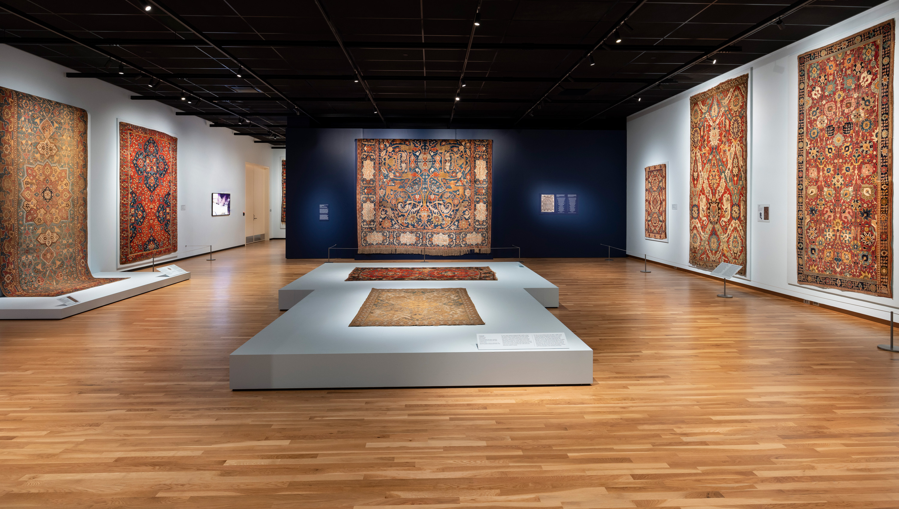 gallery view of rugs in Rugged Beauty exhibition