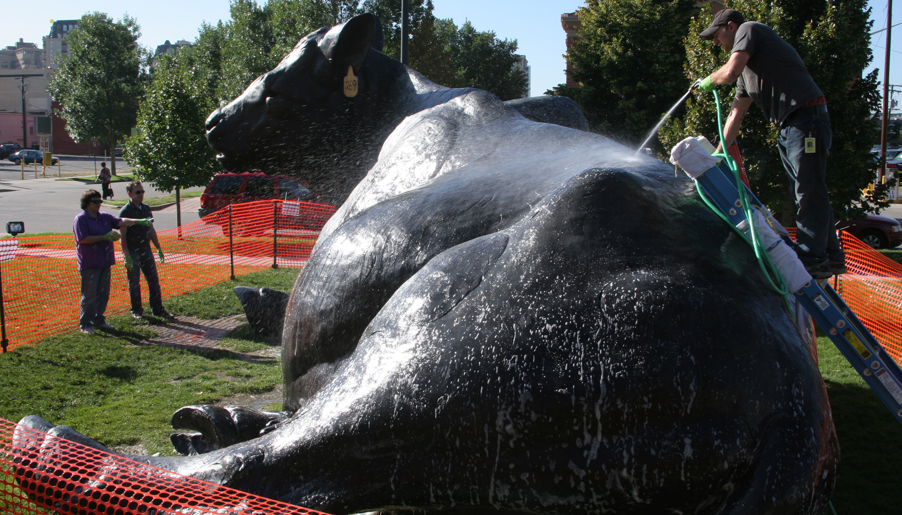 Insight Conserving Outdoor Sculptures Denver Art Museum