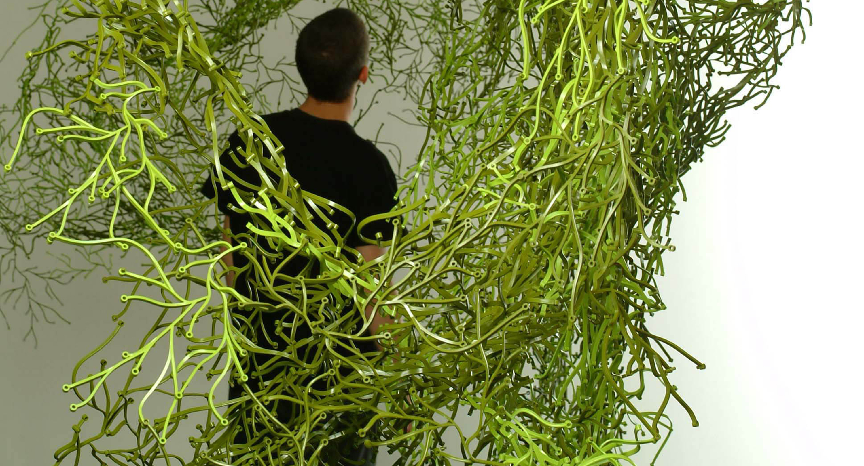 Man intertwined in green hanging branches