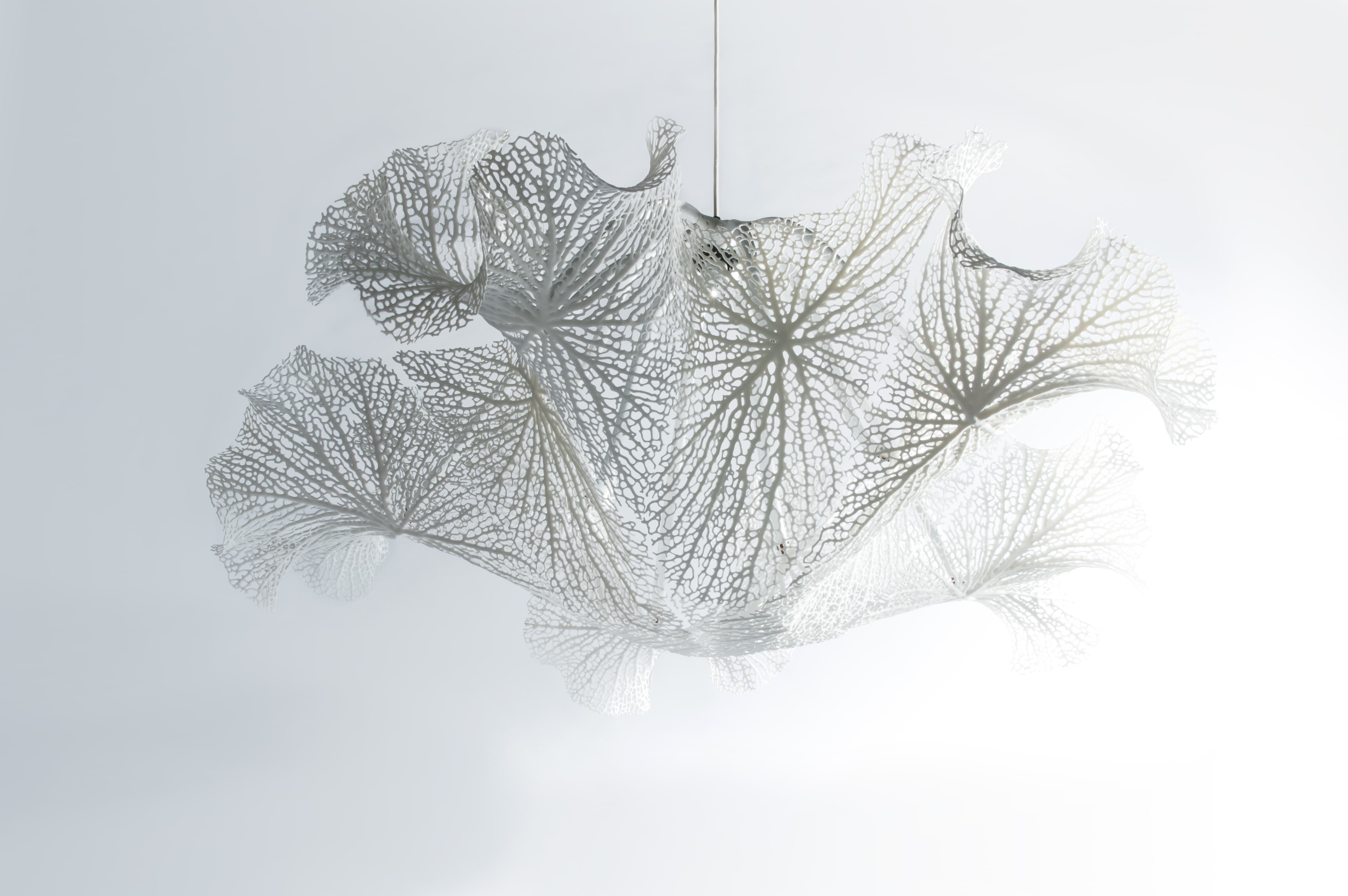 Biophilia Exhibition Guide Gallery 6 | Denver Art Museum