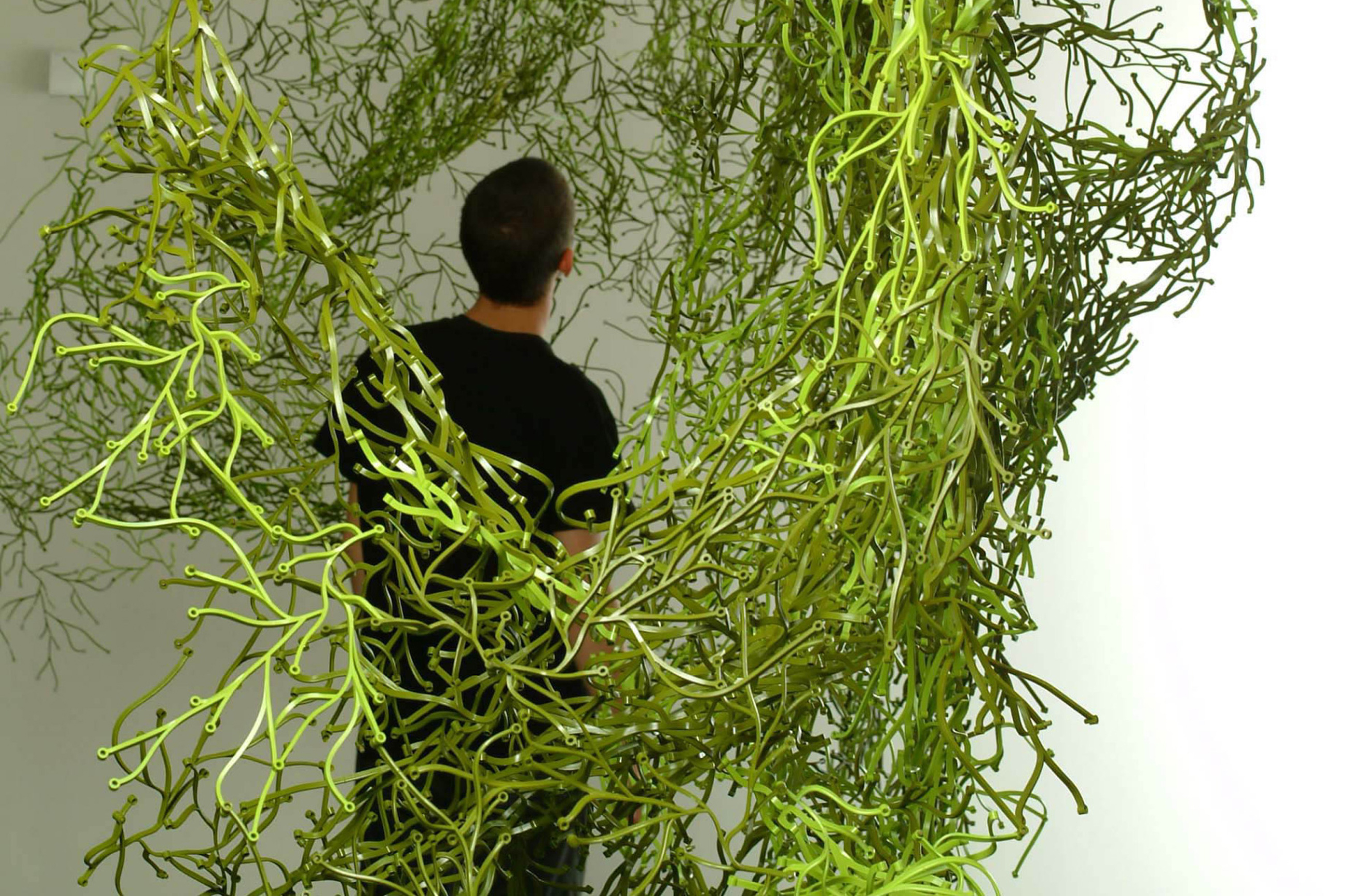 Man intertwined in green hanging branches