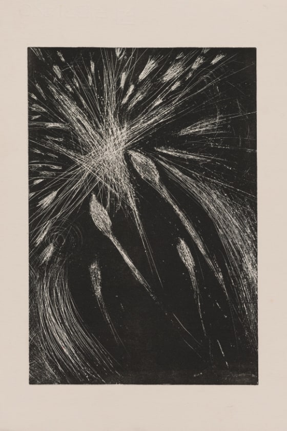 An etching with white marks on a black background featuring sperm cells.