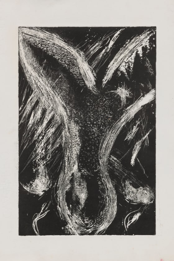 An etching with white marks on a black background featuring a V-shaped form and sperm cells.