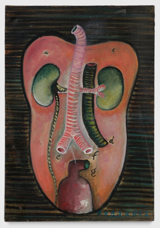 Imagined anatomy resembling the interior of a human chest, with two tracheas and two green kidneys.