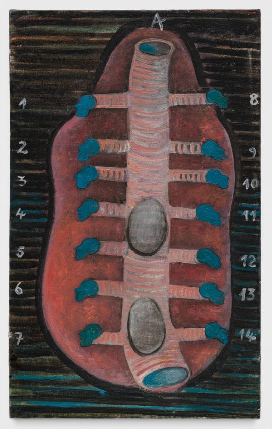 Imagined human anatomy that looks like a larger vertical trachea, with seven smaller air pipes running horizontally along each side. The ends of each have a teal-blue tip which take the shape of human heads. There are two gray oval shapes in the bottom half of the trachea. At the top, the letter “A”. Along the left side, the numbers “4, 2, 3, 4, 5, 6, 7” run vertically from top to bottom. Along the right side, the numbers “8, 9, 10, 11, 12, 13, 14” run vertically from top to bottom.