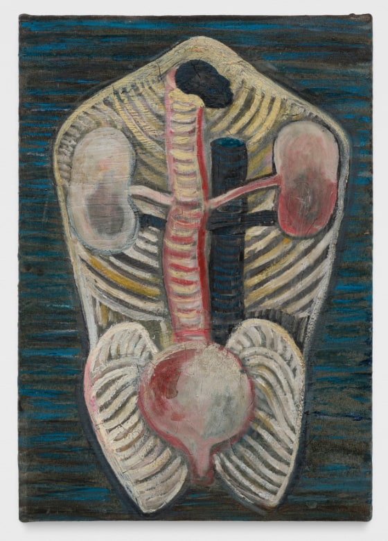 Imagined anatomy resembling a human torso. A reddish trachea runs vertically to the left of the core, with a lung on either side.