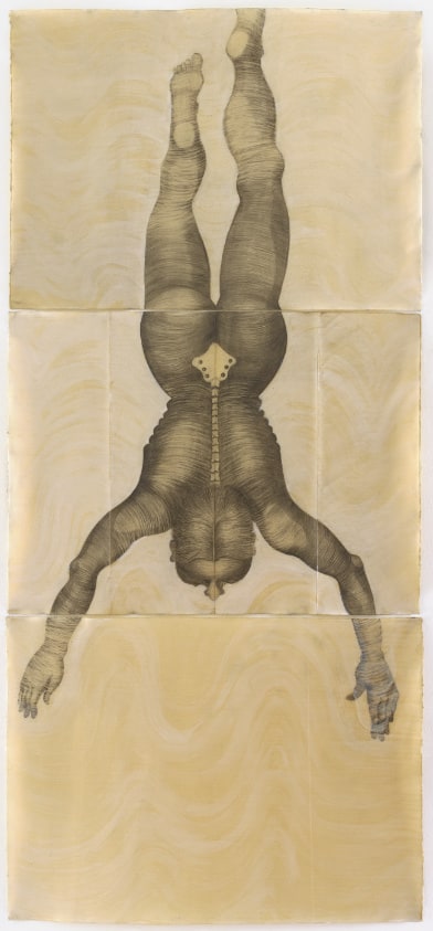 The backside of a human figure diving downward with arms extended shoulder-width apart toward the bottom of the composition. A white spine is visible down the back, with a diamond-shaped tailbone at the top of the buttocks.