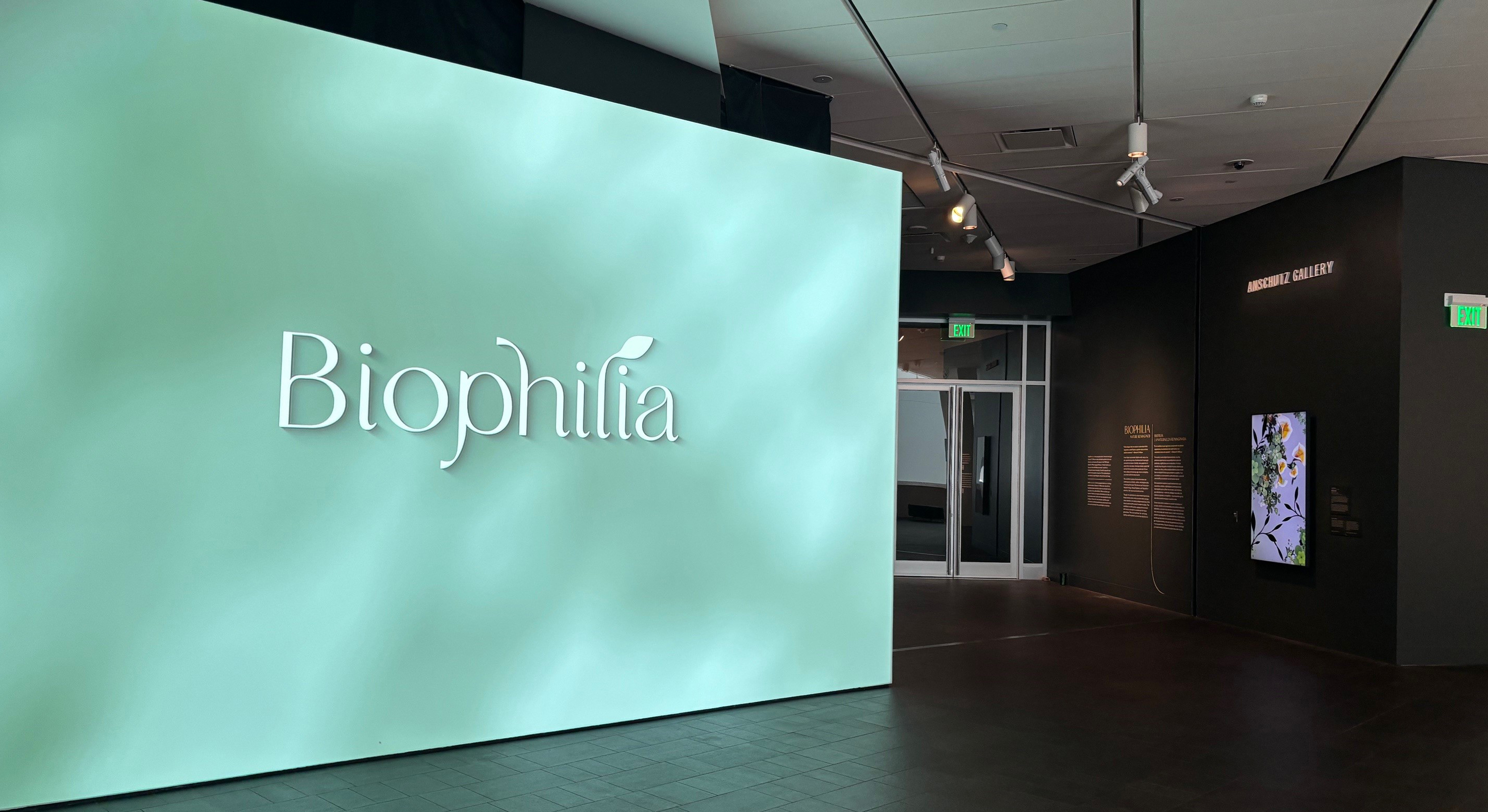 Biophilia Nature Reimagined Members Morning Denver Art Museum   Biophilia Title Wall 2 