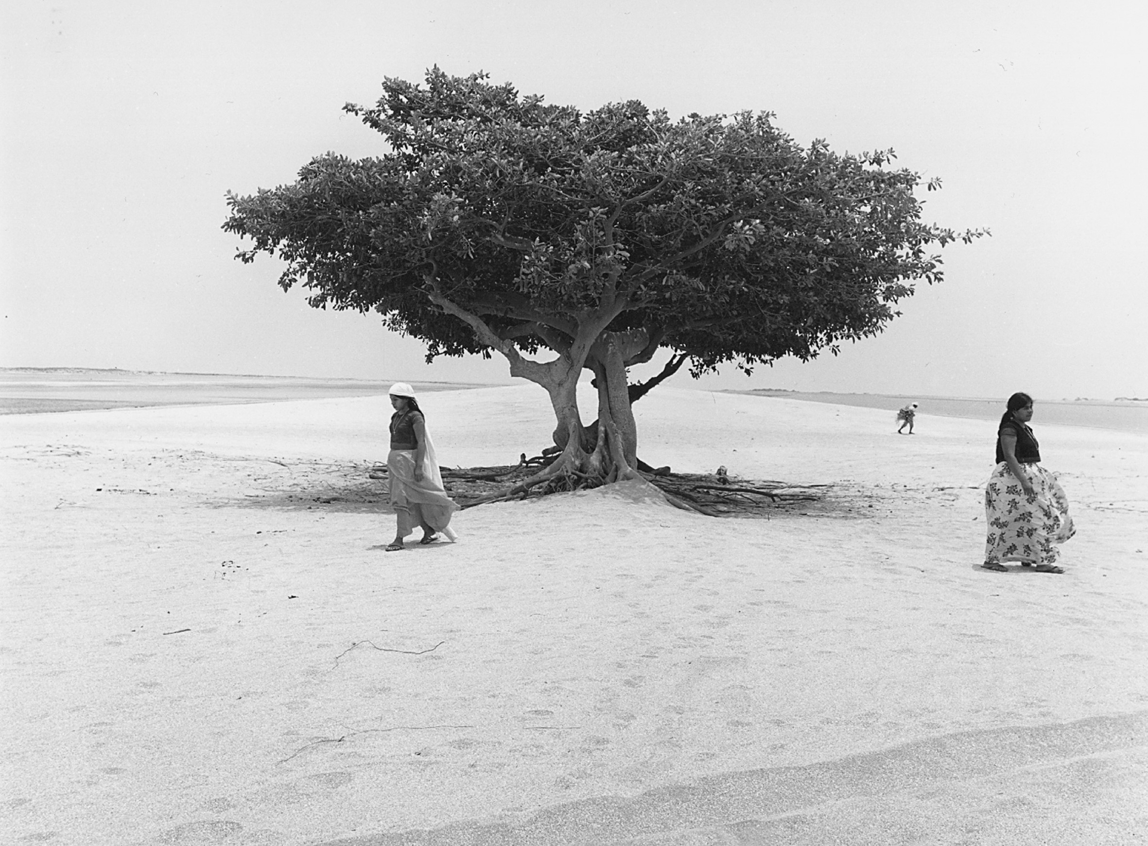 Two women walking near a tree in a sandy area