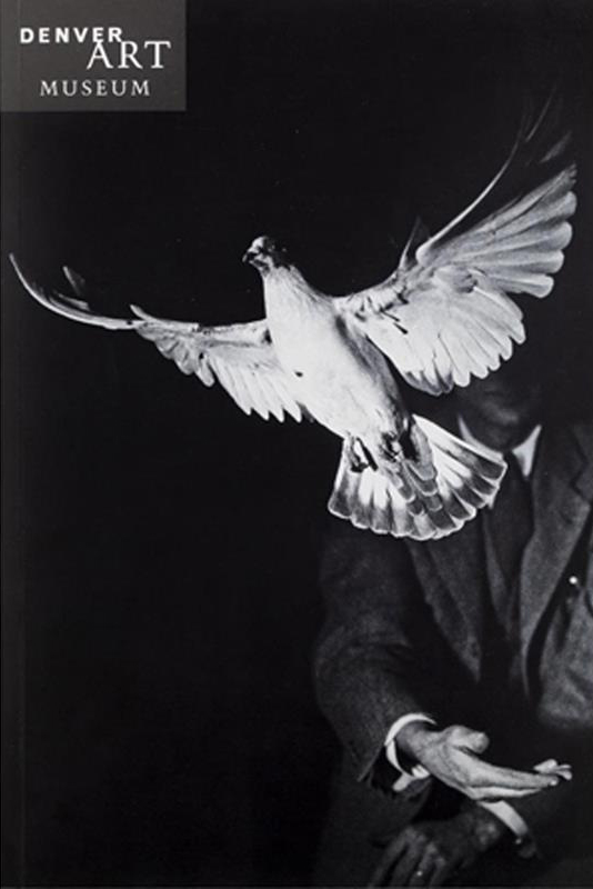 Companion to Strauss Photography cover