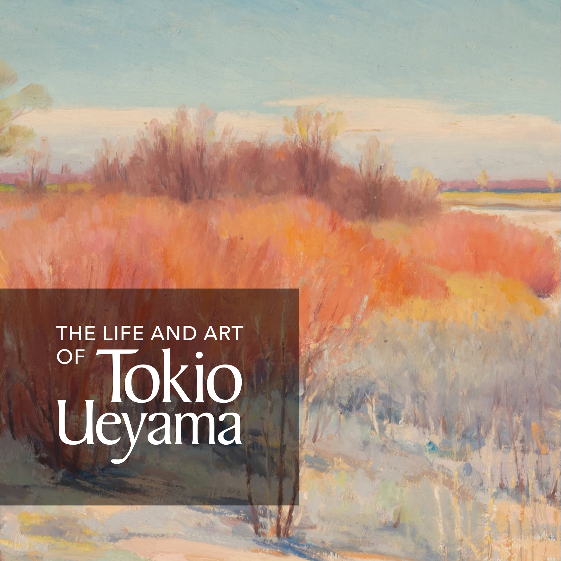 The Life and Art of Tokio Ueyama cover