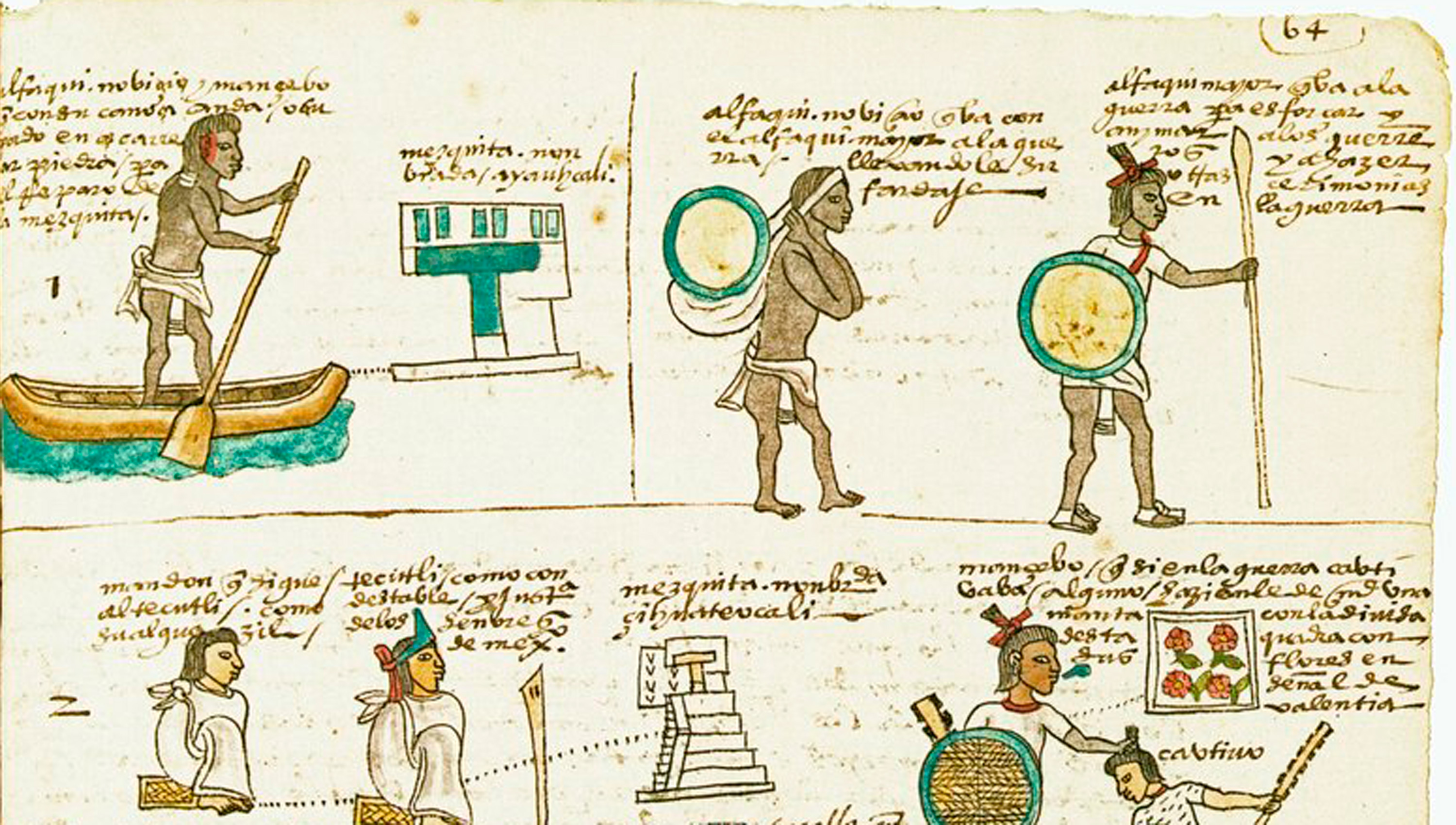 codex with illustrations and text