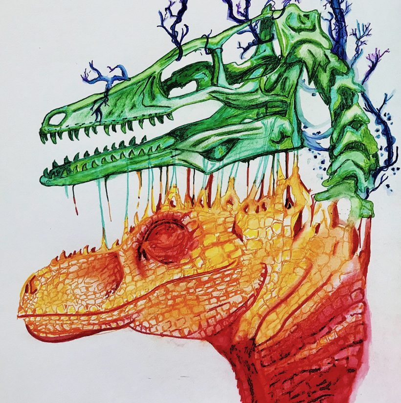 Drawing of a head and skull of a reptilian, dinosaur-like creature