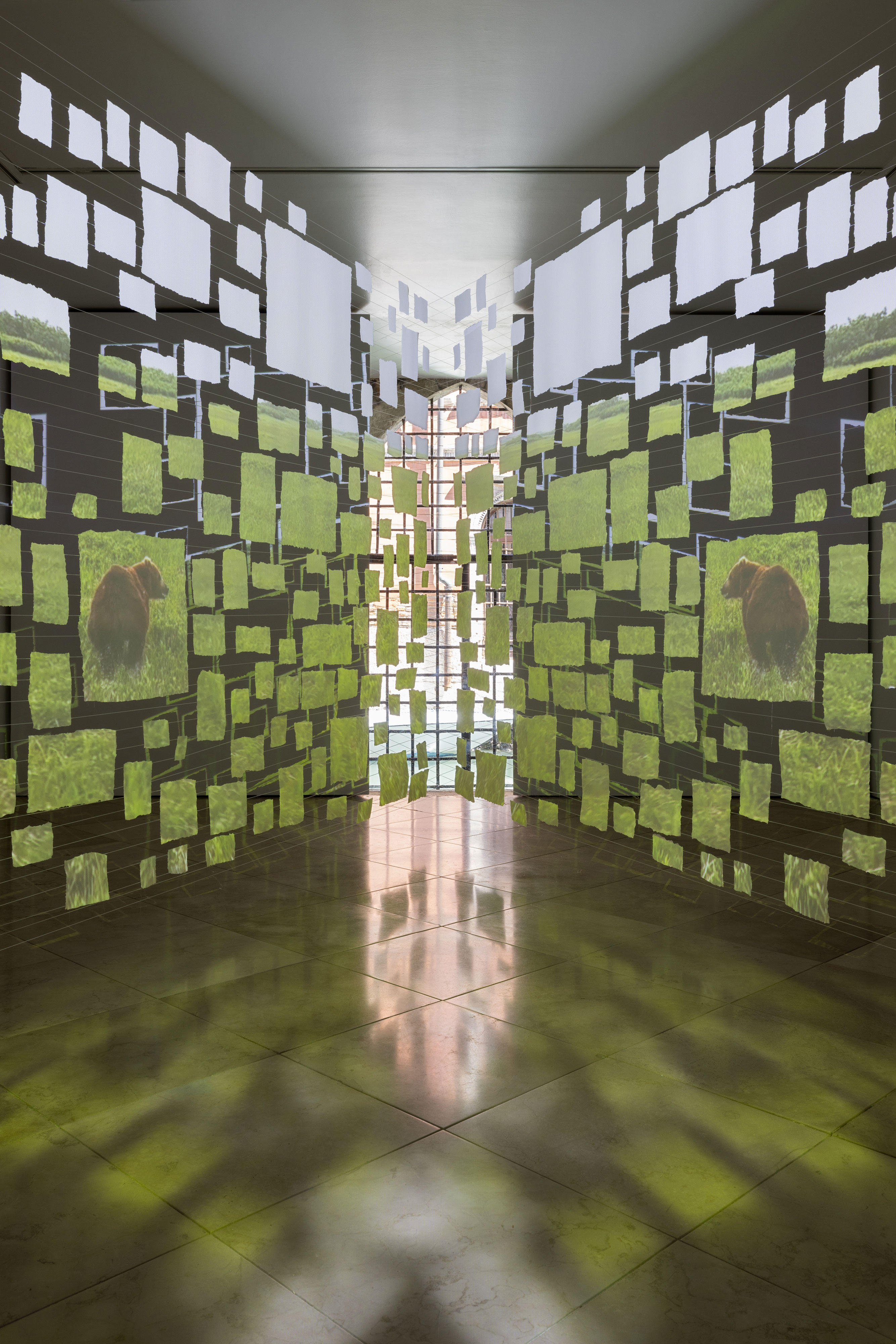 View of hanging images including two brown bears