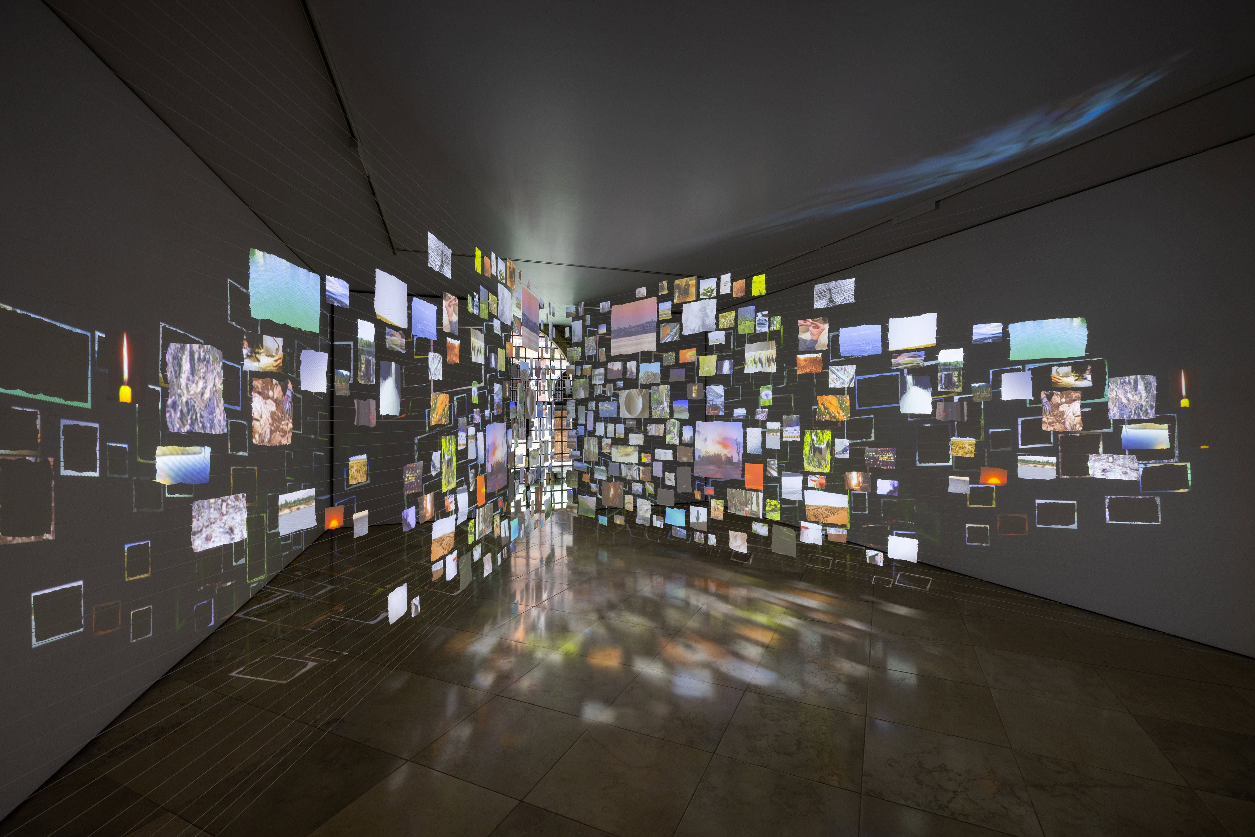 Gallery view of a large video installation