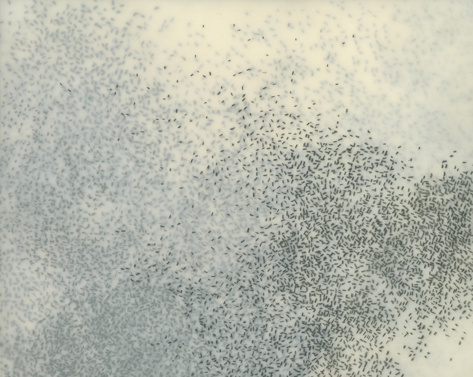 Abstract drawing of a flock of birds