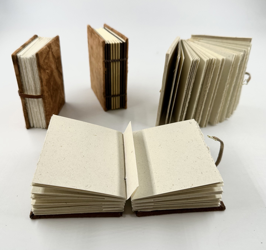 Examples of small handmade mini books