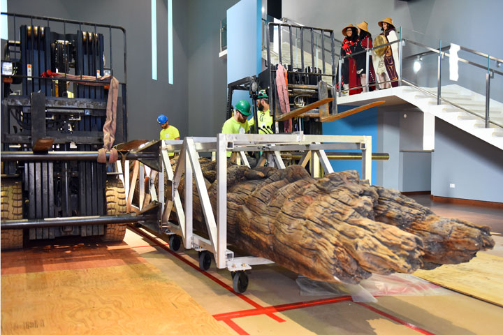construction workers with one of the Haida poles with members of the Wallace family looking on from the stairs above