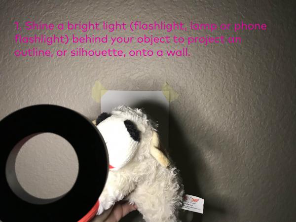 Step 1: Shine a bright light