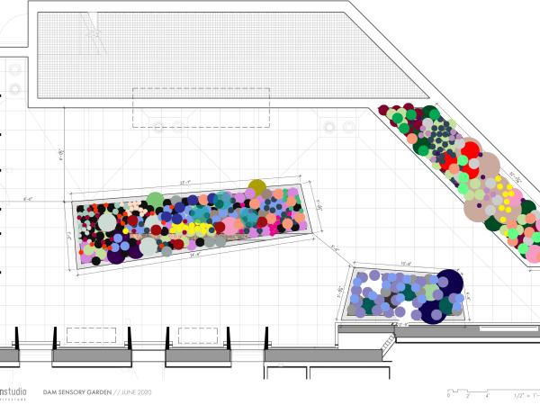 planning diagram of the sensory garden