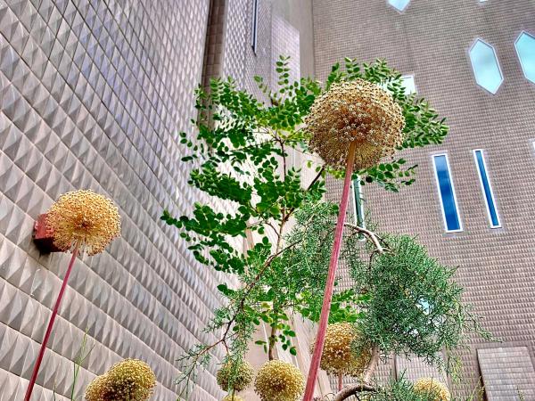 plants and trees with the Martin Building's tiles and diamond and rectangular shaped windows