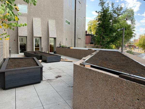 soil in the 3 different beds