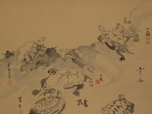 Hanging scroll of ink drawings of turtles