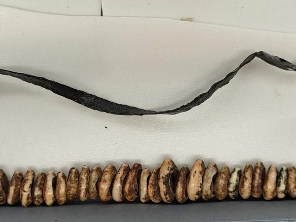 one strand without shells and one strand with shells