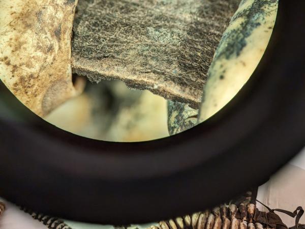 close up of Microscopy View
