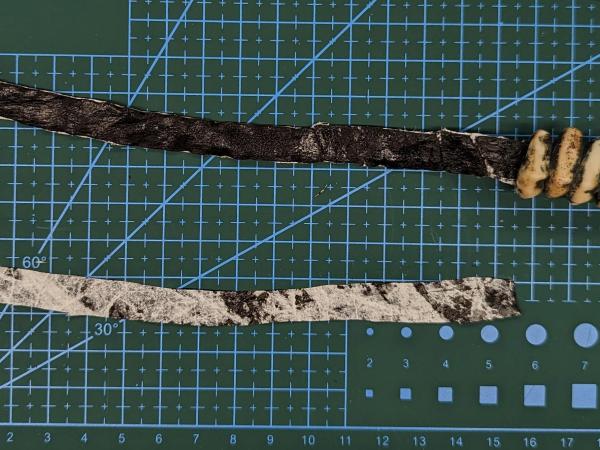 lining and shells on graph paper