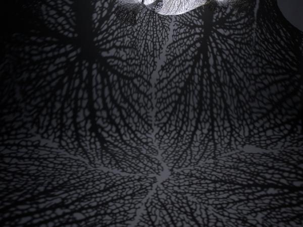 Shadows of light created by chandelier shaped like a plant