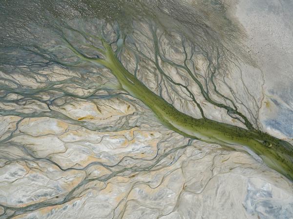 Abstract aerial view of the Great Lake region with strands of earth that resembles veins