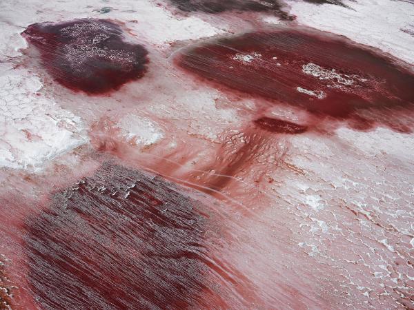 Aerial view of a desolate deep red landscape