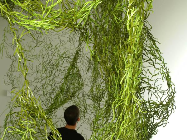 Man intertwined in green hanging branches