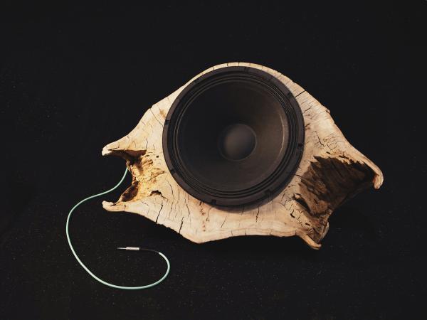 Speaker-like conch shell device