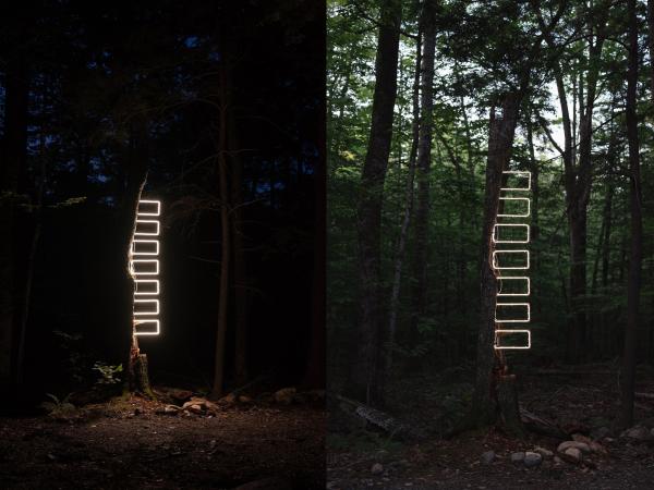 Split photo displaying a light installation in the forest, left side at night and right side during the day