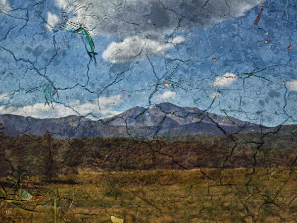 Image of a snowmass mountain in Colorado with brush in the foreground