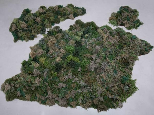 Patch of mossy grass artwork