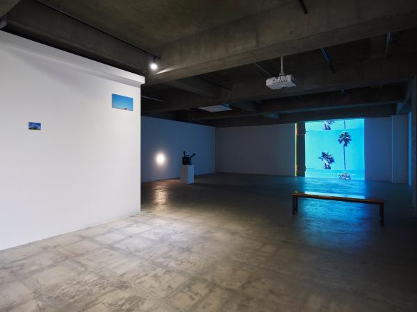 Video installation of palm trees in large empty gallery