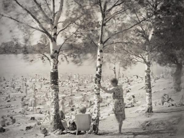 Older couple surrounded by tall birch trees