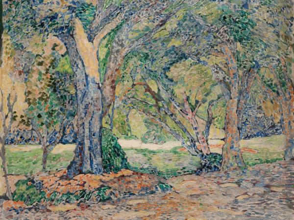 Forest landscape of lush green trees