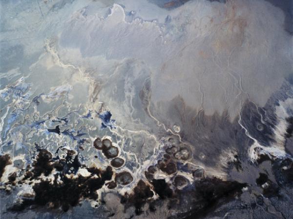 A high altitude photo of a transitional landscape made up of what appear to be lakes, dry lake beds and sedimentary flood plains.