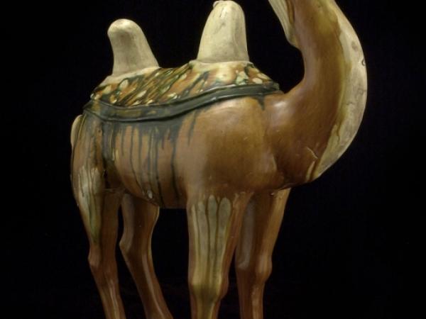 Camel statue from China, Tang dynasty, 700s