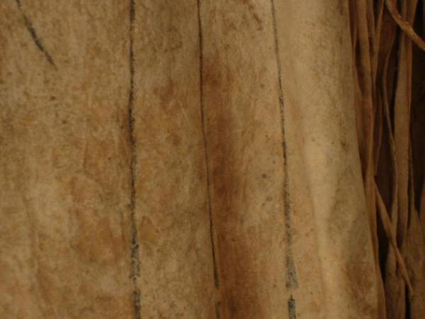 Upper Missouri River shirt details