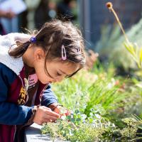 Young girl leaning in to get a closer look at a plant